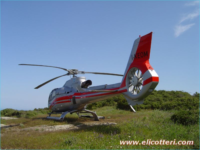 elifoto (50)